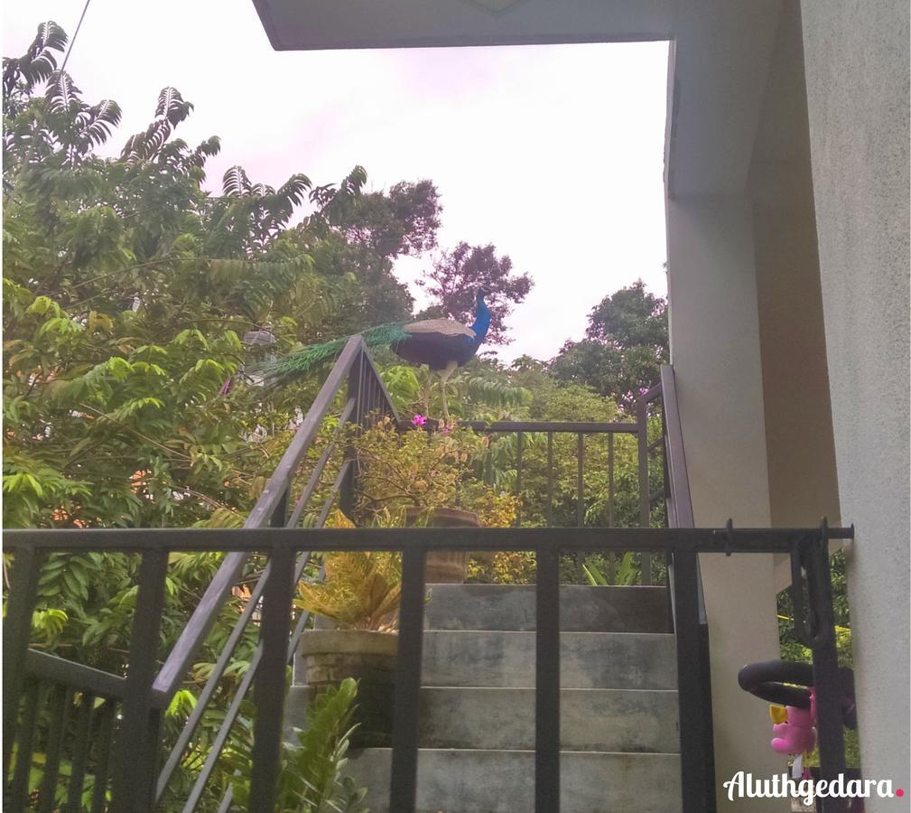 Aluthgedara Guest House Unawatuna Exterior foto